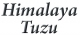 Himalaya Tuzu ve Himalaya Lambası Satış 
